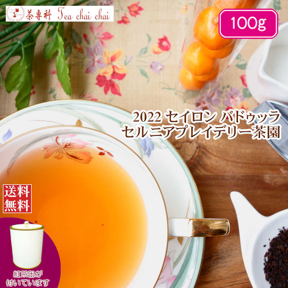 紅茶 茶葉 茶缶付 バドゥッラ セルニアプレイデリー茶園 BOPSP/2022 100g【送料無料】 セイロン メール便 紅茶専門店