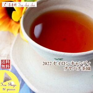 紅茶 ティーバッグ 20個 キャンディ ナヤパナ茶園 BOPA/2022【送料無料】 セイロン メール便 紅茶専門店