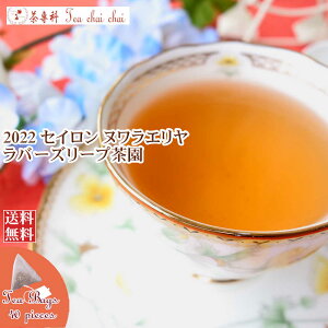 紅茶 ティーバッグ 40個 ヌワラエリヤ ラバーズリープ茶園 OP1/2022【送料無料】 セイロン メール便 紅茶専門店