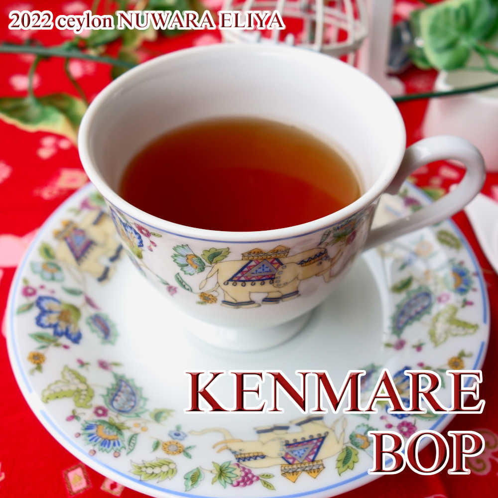 紅茶 茶葉 ヌワラエリヤ ケンマヤ茶園 BOP...の紹介画像2