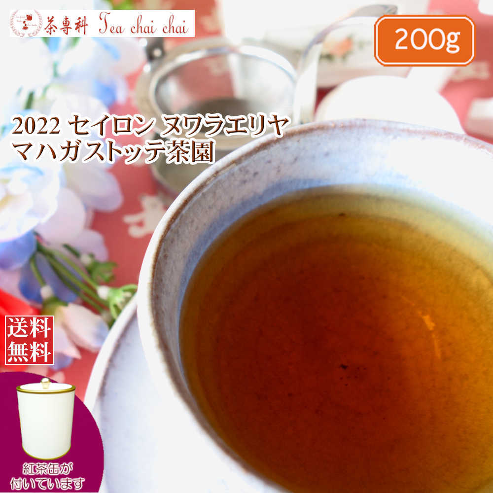紅茶 茶葉 茶缶付 ヌワラエリヤ マハガストッテ茶園 BOPA/2022 200g【送料無料】 セイロン メール便 紅茶専門店