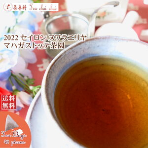 紅茶 ティーバッグ 40個 ヌワラエリヤ マハガストッテ茶園 BOPA/2022【送料無料】 セイロン メール便 紅茶専門店