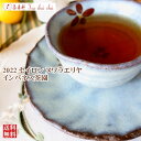 紅茶 茶葉 ヌワラエリヤ インバネス茶園 OP1/2022 50g【送料無料】 セイロン メール便 紅茶専門店