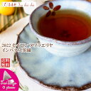 紅茶 ティーバッグ 10個 ヌワラエリヤ インバネス茶園 OP1/2022【送料無料】 セイロン メール便 紅茶専門店