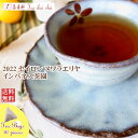 紅茶 ティーバッグ 20個 ヌワラエリヤ インバネス茶園 OP1/2022【送料無料】 セイロン メール便 紅茶専門店
