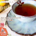 紅茶 ティーバッグ 40個 ヌワラエリヤ インバネス茶園 OP1/2022【送料無料】 セイロン メール便 紅茶専門店