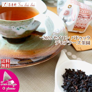 紅茶 ティーバッグ 10個 バドゥッラ デモデラーズ茶園 OP/2022【送料無料】 セイロン メール便 紅茶専門店