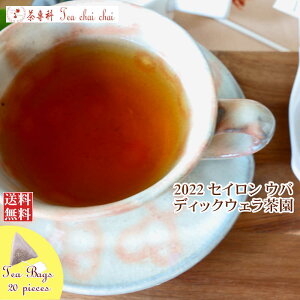 紅茶 ティーバッグ 20個 ウバ ディックウェラ茶園 BOP1/2022【送料無料】 セイロン メール便 紅茶専門店