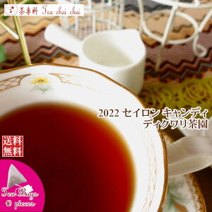 紅茶 ティーバッグ 10個 キャンディ ディクワリ茶園 CTC PF1/2022【送料無料】 セイロン メール便 紅茶専門店