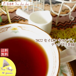 紅茶 ティーバッグ 20個 キャンディ ディクワリ茶園 CTC PF1/2022【送料無料】 セイロン メール便 紅茶専門店