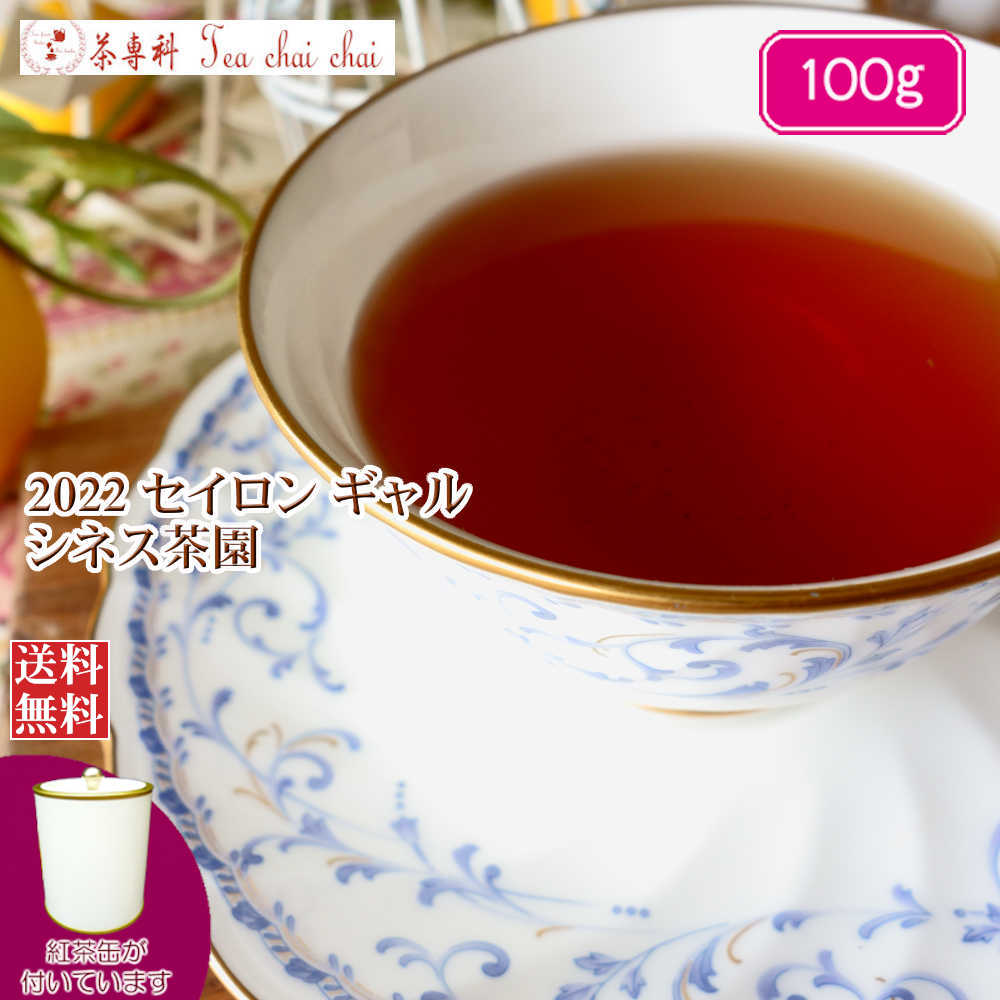 紅茶 茶葉 茶缶付 ギャル シネス茶園 OPA/2022 100g【送料無料】 セイロン メール便 紅茶専門店