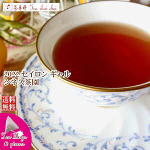 紅茶 ティーバッグ 10個 ギャル シネス茶園 OPA/2022【送料無料】 セイロン メール便 紅茶専門店