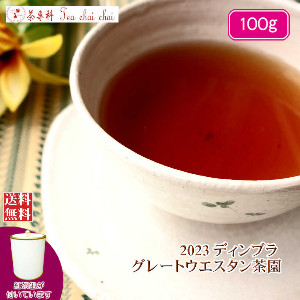 紅茶 茶缶付 ディンブラ グレートウエスタン茶園 BOPF/2023 100g 【送料無料】 紅茶専門店
