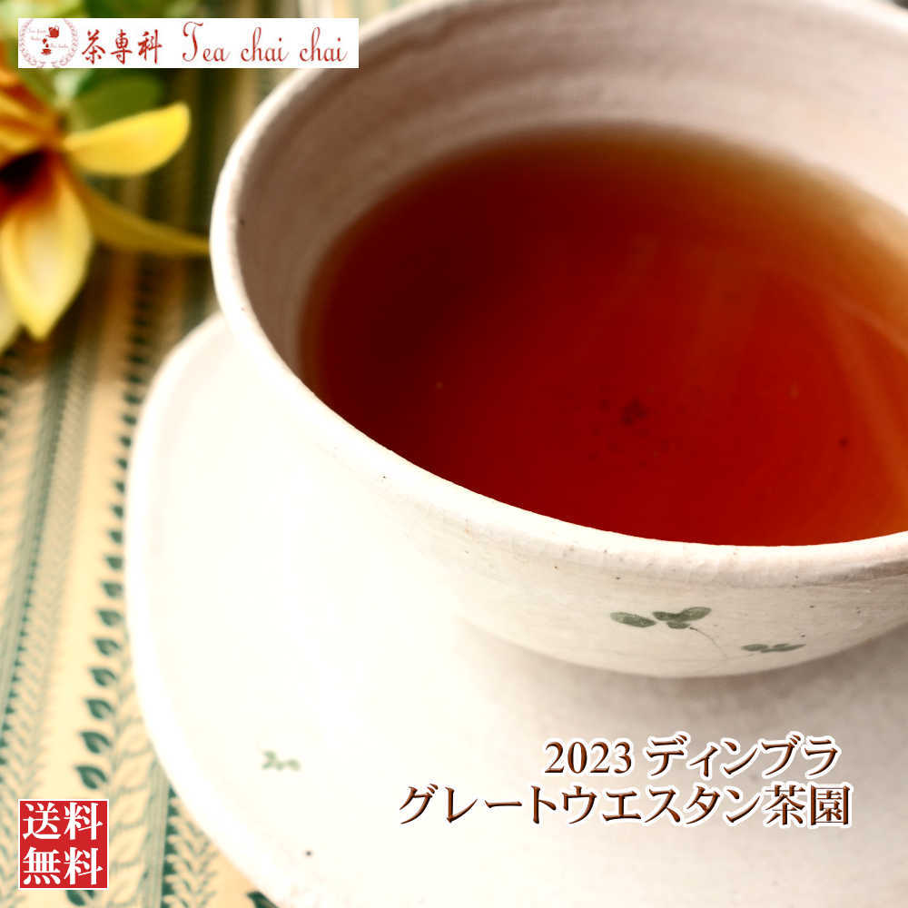 紅茶 ディンブラ グレートウエスタン茶園 BOPF/2023 50g 【送料無料】 セイロン メール便 紅茶専門店