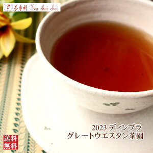 紅茶 ディンブラ グレートウエスタン茶園 BOPF/2023 50g 【送料無料】 セイロン メール便 紅茶専門店