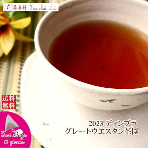 紅茶 ティーバッグ 10個 ディンブラ グレートウエスタン茶園 BOPF/2023【送料無料】 セイロン メール便 紅茶専門店