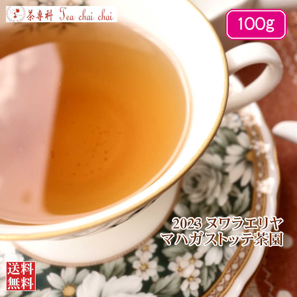 紅茶 ヌワラエリヤ紅茶 ヌワラエリヤ マハガストッテ茶園 FBOPF1/2023 100g【送料無料】 セイロン メール便 紅茶専門店