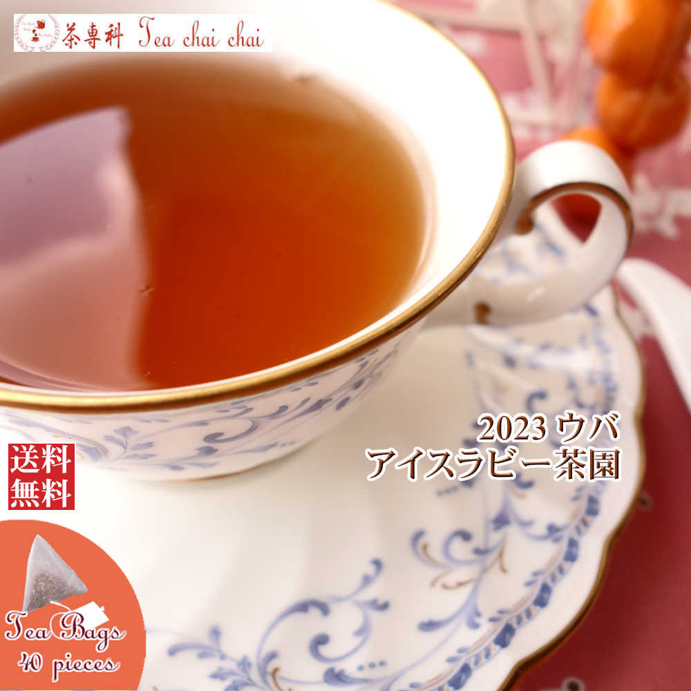 紅茶 ティーバッグ 40個 ウバ アイスラビー茶園 BOP1/2023【送料無料】 セイロン メール便 紅茶専門店