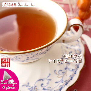 紅茶 ティーバッグ 10個 ウバ アイスラビー茶園 BOP1/2023【送料無料】 セイロン メール便 紅茶専門店