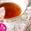 紅茶 ティーバッグ 10個 ディックコヤ アンフィールド茶園 BOP/2023【送料無料】 セイロン メール便 紅茶専門店