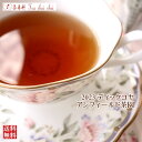 紅茶 茶葉 ディックコヤ アンフィールド茶園 BOP/2023 50g【送料無料】 セイロン メール便 紅茶専門店