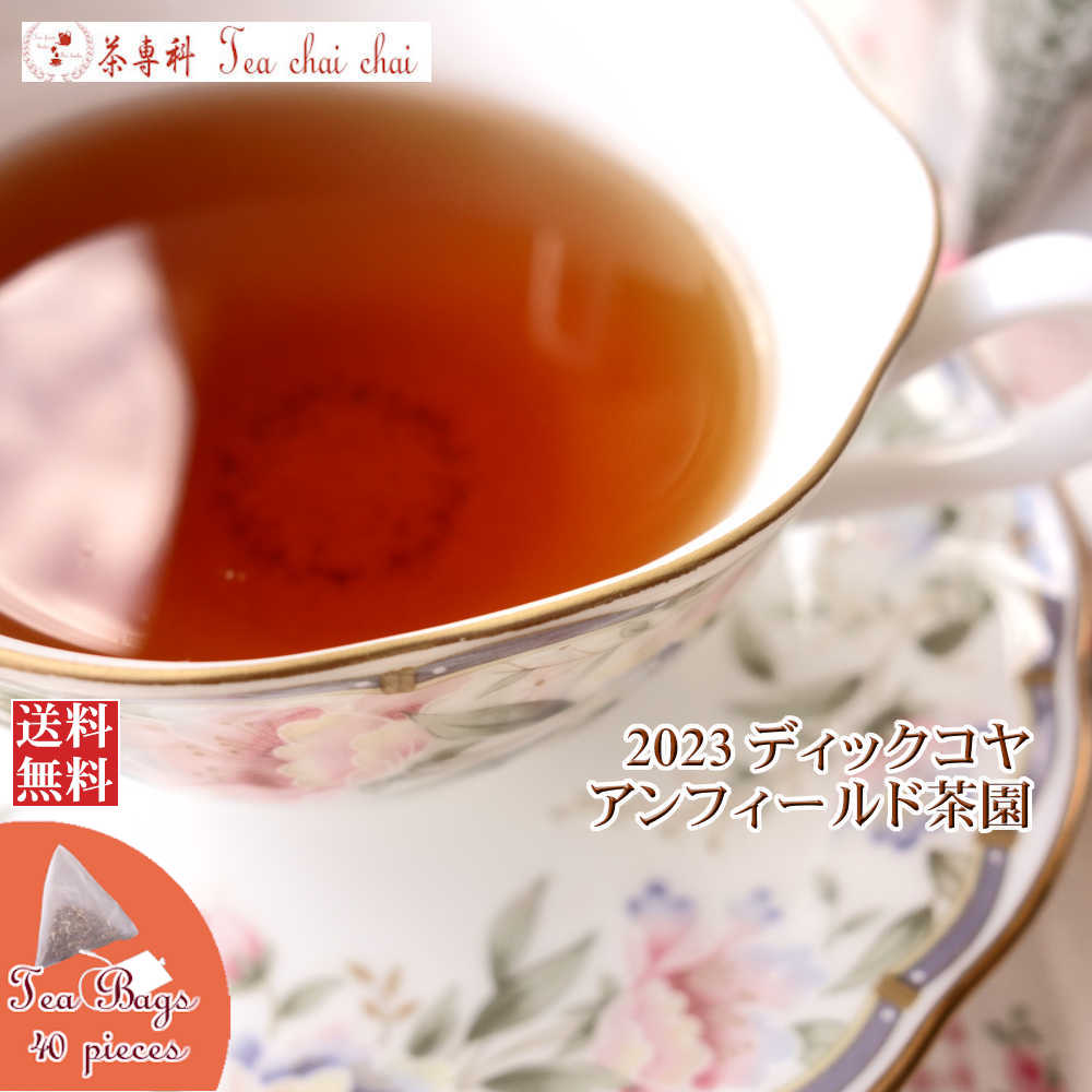紅茶 ティーバッグ 40個 ディックコヤ アンフィールド茶園 BOP/2023【送料無料】 セイロン メール便 紅茶専門店