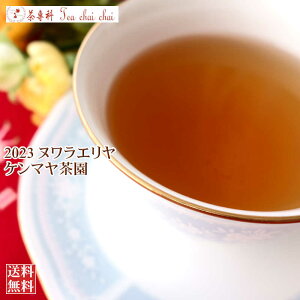 紅茶 ヌワラエリヤ紅茶 ヌワラエリヤ ケンマヤ茶園 OP1/2023 50g【送料無料】 セイロン メール便 紅茶専門店