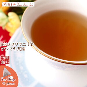 紅茶 ティーバッグ 40個 ヌワラエリヤ ケンマヤ茶園 OP1/2023【送料無料】 セイロン メール便 紅茶専門店