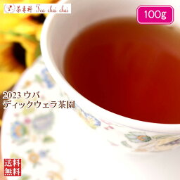 紅茶 茶葉 ウバ ディックウェラ茶園 FBOP/2023 100g【送料無料】 セイロン メール便 紅茶専門店