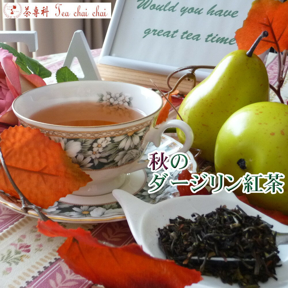 紅茶 茶葉 ダージリン ティチャイチャイ お買い得 秋のダージリン紅茶 茶葉 50g【送料無料】