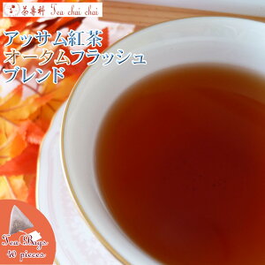 紅茶 ティーバッグ 40個 アッサム紅茶 オータムフラッシュ ブレンド【送料無料】 アッサムティー 大容量 まとめ買い 大袋 業務用 ギフト ティーライフ アッサムティー