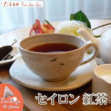 紅茶 ティーバッグ 40個 セイロン 紅茶【送料無料】 セイロン メール便