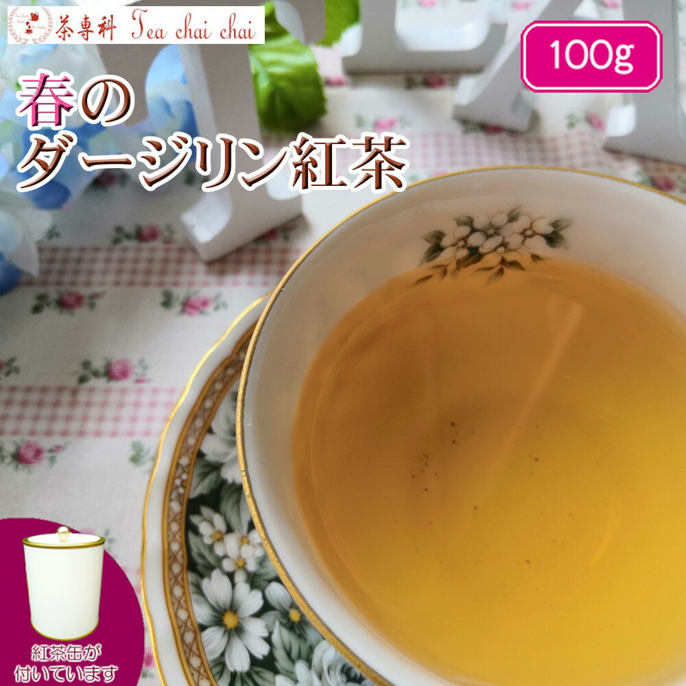 楽天茶専科　ティチャイチャイ紅茶 茶葉 ダージリン 茶缶付 ティチャイチャイ お買い得 春のダージリン紅茶 茶葉 100g【送料無料】