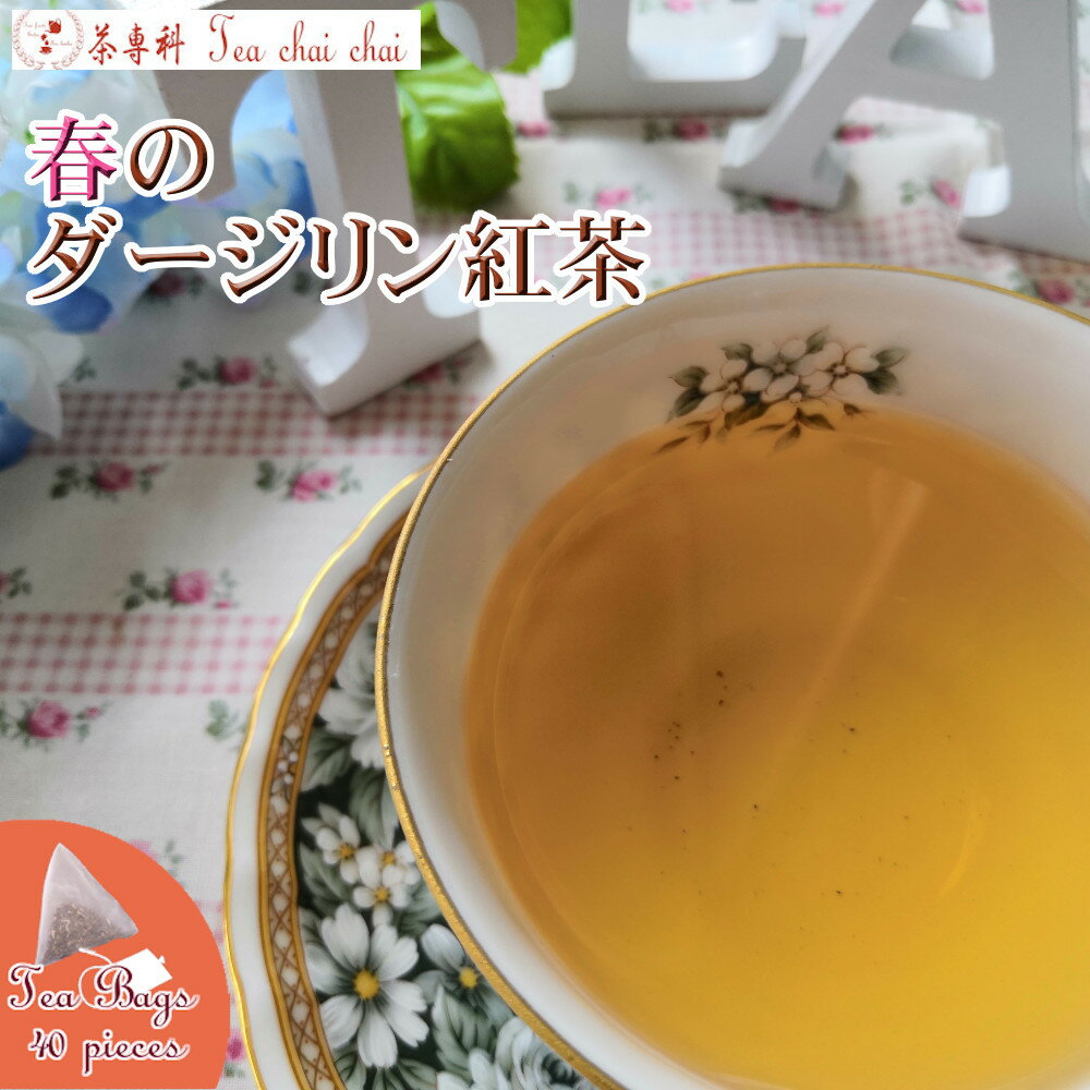 紅茶 ティーバッグ 40個 ティチャイチャイ お買い得 春のダージリン紅茶【送料無料】 ダージリンティー 大容量 まとめ買い 大袋 業務用 ギフト ティーライフ