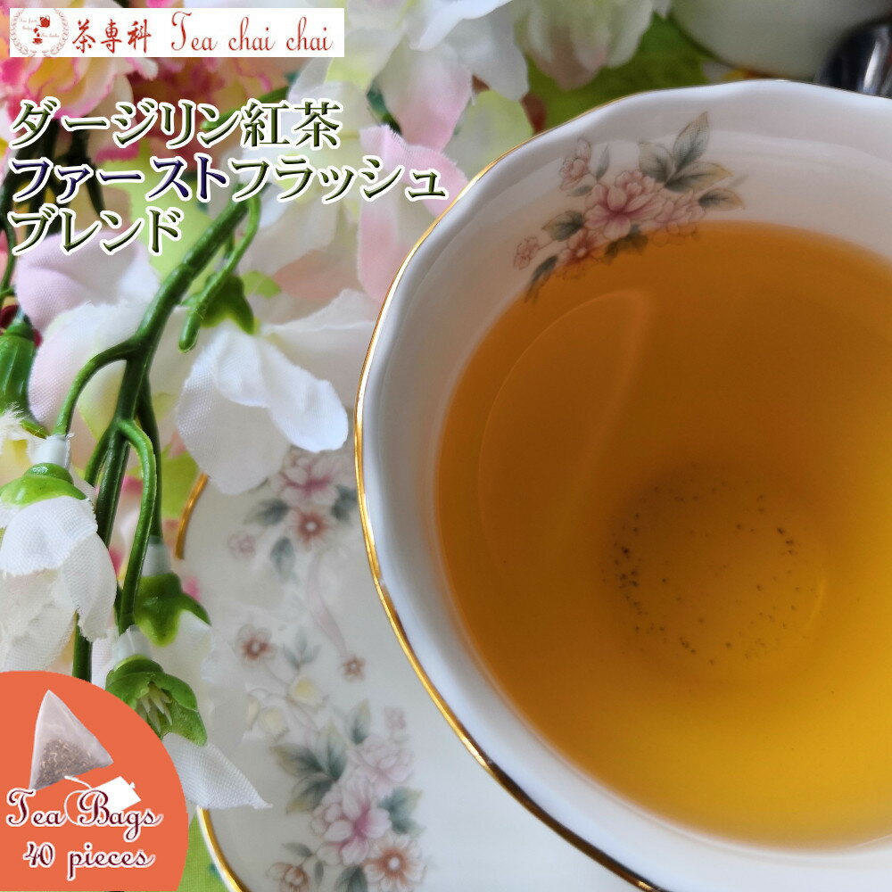 紅茶 ティーバッグ 40個 ダージリン紅茶 ファーストフラッシュ ブレンド【送料無料】 ダージリンティー 大容量 まとめ買い 大袋 業務用 ギフト ティーライフ