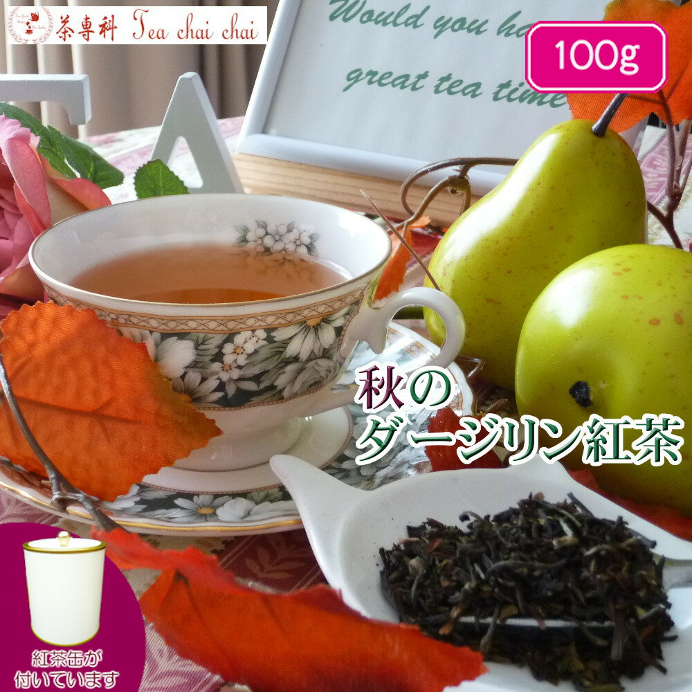 紅茶 茶葉 ダージリン 茶缶付ティチャイチャイ お買い得 秋のダージリン紅茶 茶葉 100g【送料無料】