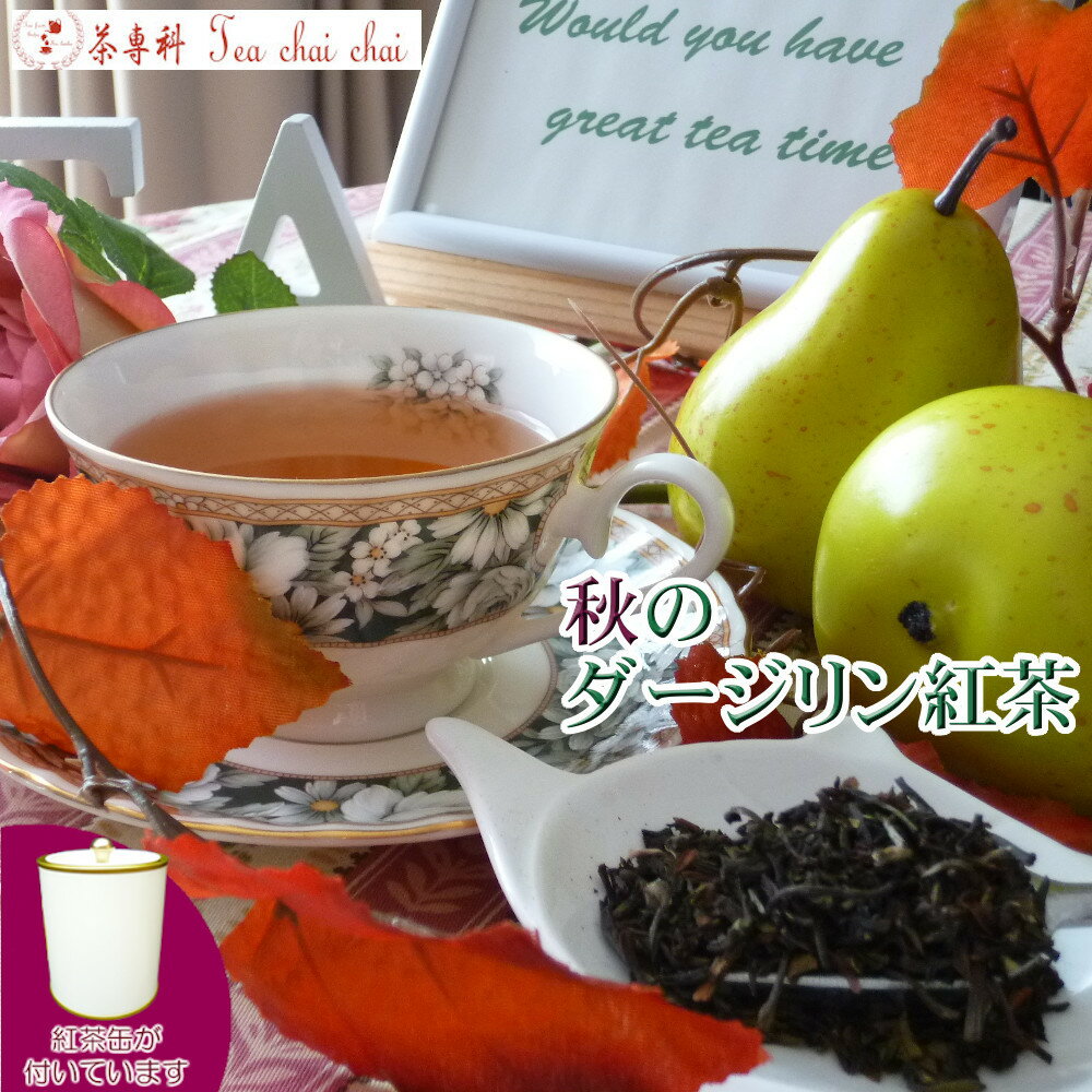 紅茶 茶葉 ダージリン 茶缶付ティチ