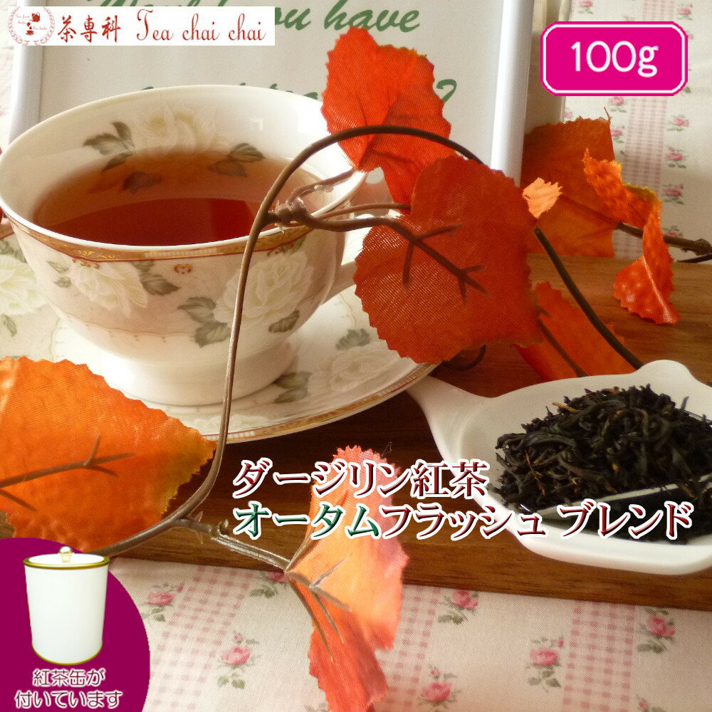 紅茶 茶葉 ダージリン 茶缶付ダージリン紅茶 オータムフラッシュ ブレンド 茶葉 100g【送料無料】