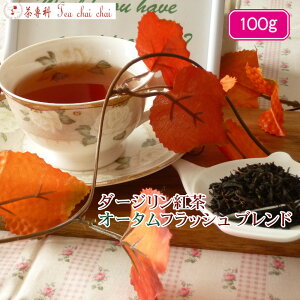 紅茶 茶葉 ダージリン ダージリン紅茶 オータムフラッシュ ブレンド 茶葉 100g【送料無料】