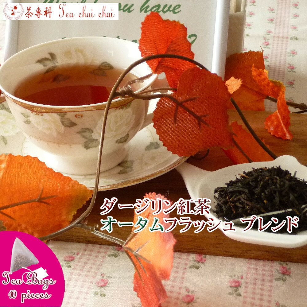 紅茶 ティーバッグ 10