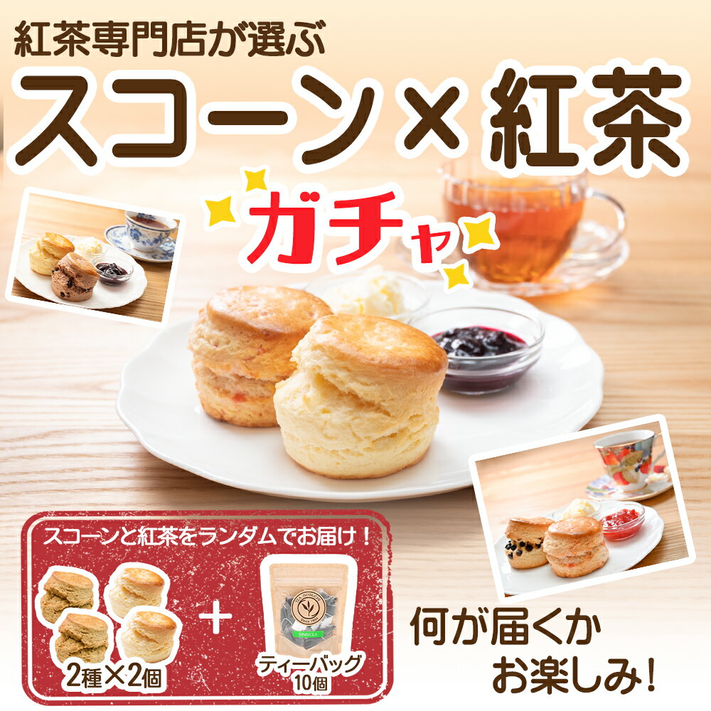 【本日11日まで】＼ スコーン × 紅茶 ガチャ ／ スコーン 2袋 と ティーバッグ 10個入 の セット ハズレなし 数量限定 スコーン14種類 ティーバッ...