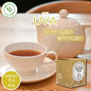 ウバ 40g 箱入 BANDARAELIYA バンダラエリヤ茶園 スリランカ フレッシュティー 2024年11月摘み 紅茶専門店 茶葉 高級 セイロンティー 世界三大銘茶 リーフティー アイスティー ミルクティー 豆乳 チャイ ラテ 香り高い プチギフト