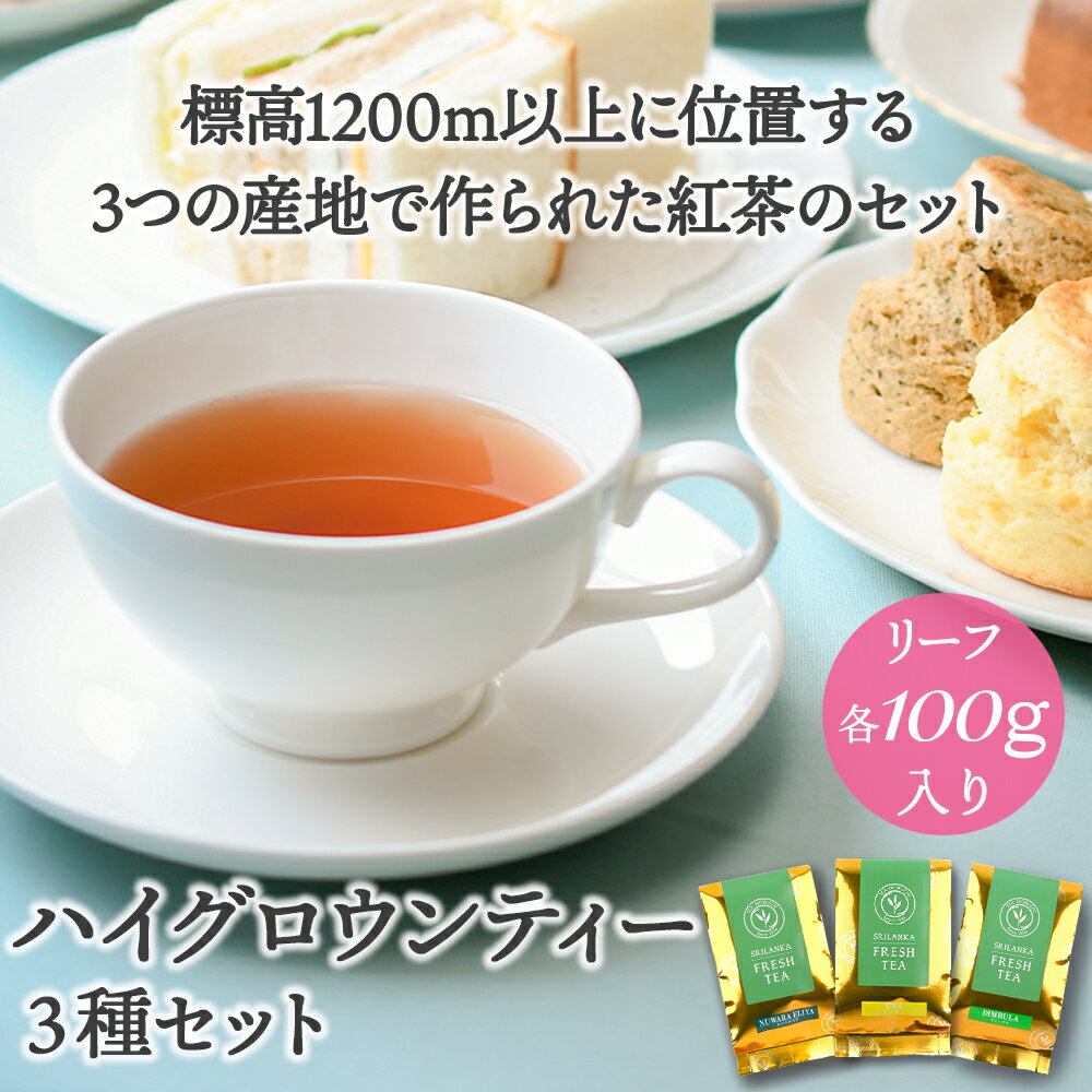 【BF★ポイント10倍×クーポン】紅茶 茶葉 スリランカ フレッシュティー ハイグロウンティー ディンブラ ウバ ヌワラエリア セイロンティー ミルクティー 高級 新茶 アイスティー ヌワラエリヤ 紅茶専門店 贈り物 ギフト 100g×3種セット 袋入 2025年5・6月摘み 紅茶 リーフ