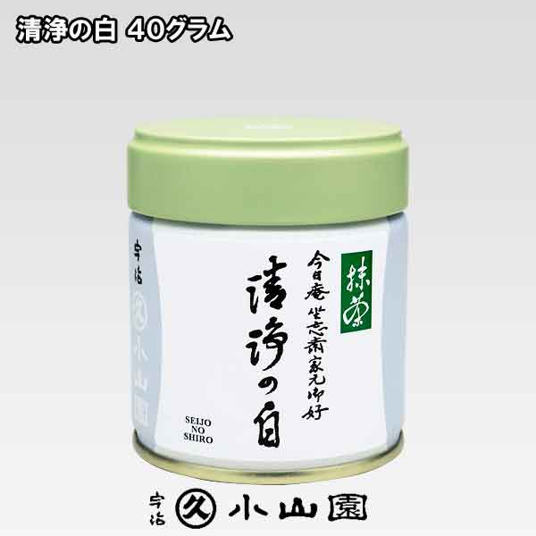 京都 宇治 丸久小山園 裏千家 坐忘斎お家元好み お抹茶 清浄の白 40g缶　薄茶用