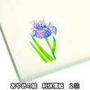 茶道具 かいし 花模様 あやめ絵 利休懐紙 2帖組 女性用絵懐紙