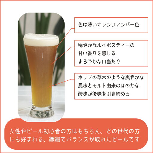 ルイボスビール 6本セット ギフト 箱入り 地ビール クラフトビール オリジナルクラフトビール オリジナルビール ルイボスティー 御中元 お中元 夏ギフト プレゼント 男性 キャンプ クール便無料 送料無料 ティーライフ