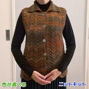 毛糸 パーセントバリエーションで編む波模様の前開きベスト セット ハマナカ・リッチモア 手編みキット 無料編み図 編み物キット ニットキット