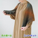 ●編み針セット 毛糸 アルパカレジェーログラデーションで編むリーフ模様が素敵なショール ハマナカ・リッチモア 手編みキット 無料編み図 編み物キット ストール