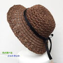 エコアンダリヤとネットを使ったエレガントな編み付け帽子 手編みキット ハマナカ 毛糸 無料編み図 編み物キット 人気キット