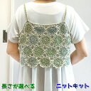春夏毛糸 オランジュとコスタファインで編む丈が選べるモチーフビスチェ セット 手編みキット ダイヤモンド毛糸 無料編み図 編み物キット ベスト キャミソール 人気キット
